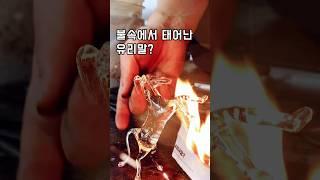 불속에서 태어난 말?