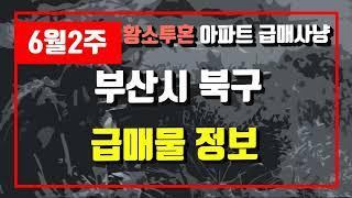 6월2주부산시 북구 아파트 저렴한 매물정보아파트 시세,시장분석