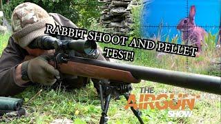 The Airgun Show | Summer rabbit hunting | Bisley airgun pellet review