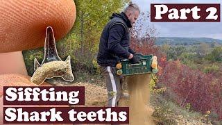 Sifting shark teeths in the mountains! +Camping in the wild - Part 2