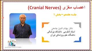 آموزش جامع نوروآناتومی | جلسه هفدهم (1) : اعصاب مغزی (Cranial Nerves) | پروفسور جامعی