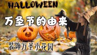 【Halloween】万圣节的由来 The origin of Halloween｜Decorating the Halloween garden with Temu accessories