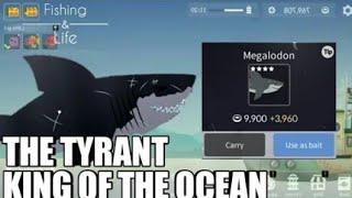 Catching Megalodon in Fishing and Life