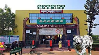 Nandankanan zoo ZoologicalPark  , 2024 Bhubaneswar /nanadankanan zoo best tourist place