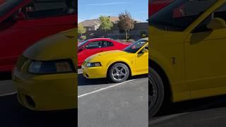 New Edge Sn95 Mustang meet up Cobra, Mach 1, GT, Bullitt