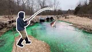 Chasing one of the RAREST Fish in the COUNTRY!!! (Unbelievable Day!)