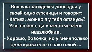 Местные! Сборник Анекдотов Синего Предела №196