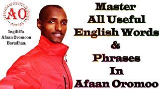 Ingiliffaa afaan oromoon baradhaa:- Master all useful English words and phrases in Afaan Oromoo