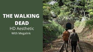 HD The Walking Dead Aesthetic (Landscape, walkers, hiking etc) W Megalink