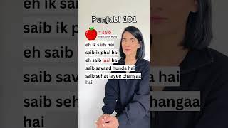 Learn Punjabi Beginner Sentences