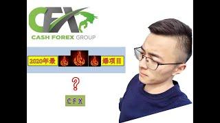 CashFX（Cash Forex Group） 收益和奖金来源讲解