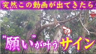 【️強制開運】※見たら1分以内に再生して下さい️もし逃したら二度とありません※すべての人を守ってくださる【願いが叶う不思議な】パワースポット️岡山県高岡神社【遠隔参拝】【リモート参拝】