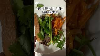 바질,루꼴라,고수 집에서 키워서 뭐 해 먹을까?!?!  #바질#루꼴라#고수 #식물키우기#맛집 #신혼집밥 #koreanhomecooking #cooking