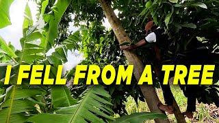 DJ KELDEN - I FELL FROM A TREE 