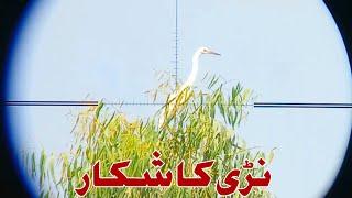 Nari Ka Shikar|Hunting In Pakistan|Hunting Season 2022-23|AirHunter PK