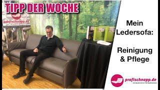 Tipp der Woche: Wie reinige und pflege ich mein Ledersofa by profischnapp.de