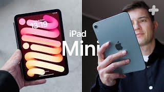 Das absolute Minimum? (iPad Mini 7 Review)