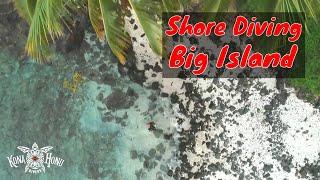 Big Island Shore Diving - Mile Marker 4 Dive Site | Kona Honu Divers