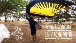 Wing & surfboard in strong wind /eng subs/