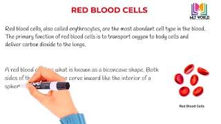 Red blood cells (RBCs).Structure, Production & Function of RBCs. Quick & Easy review. MLT WORLD