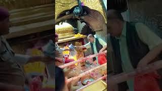 MAA Chintpurni maa ka song #chintpurni# Mata ️