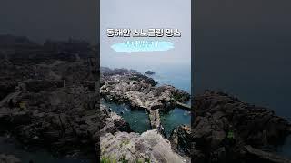 동해안 스노클링 명소 경주 송대말등대/동해바다여름휴가지/더보기란 참고