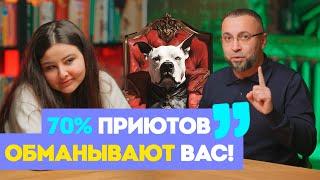 Спасение животных и ответственность за них. Проблемы приютов и обман.