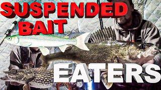 Ice Fishing for BIG FISH in a blizzard!  Suspended Bait Eating Walleye, Pike, Lake Trout