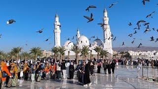 17 CELCIUS DARI MASJID QUBA PAGI DISEMBER 2024