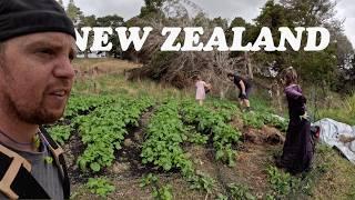 Family of 8 Homesteading in New Zealand (vlog)