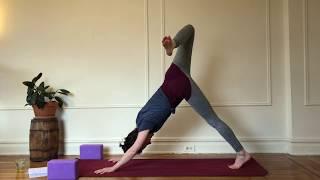 Vinyasa 1/2 | Yoga with Lindsay Nance