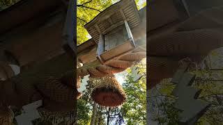 黒島若宮八幡神社️　石川県輪島市