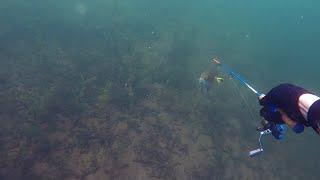 Scuba Diving, Underwater Fishing Big Cormorant Lake MN