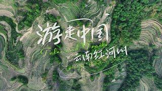 Tales & Trails: Yunnan's Honghe - A tapestry of mystery and color