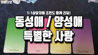 [태왕타로Tarot]동성연애/양성애 바이/게이/퀴어타로 속마음 관계흐름