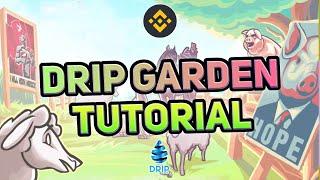 Drip Garden Tutorial Step by Step How to start