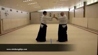 Aikido Principles: Sakeru (Getting off the Line of Attack)