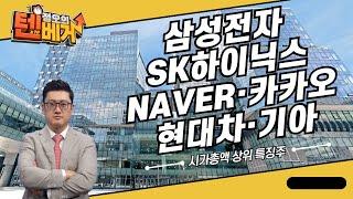 삼성전자, SK하이닉스, NAVER, 카카오, 현대차, 기아│정오의 텐베거 시가총액 상위 특징주│김선윤 전문가