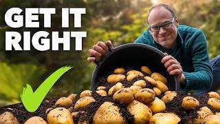 Potato Growing Masterclass: My Tips for a Bigger, Better Harvest