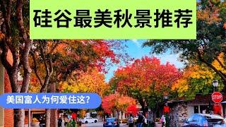 硅谷最美秋色-美国富人爱住的城市 Los Altos| The Most Beautiful Fall Color in Silicon Valley