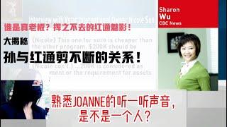 谁是真老板？考拉爸、孙小姐及红通犯剪不断的关系！