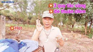 3 Quy Tắc Vàng Để Thuần Chim Bạn Nên Biết | đam mê độc lạ