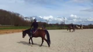 Cantering Oeillet du Parc