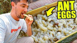 Uncovering Thailand’s EXOTIC FOOD of the Karen Tribe  I Can’t Believe They Eat This!!