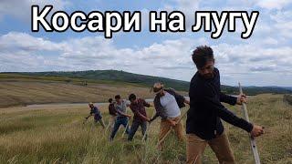 Косари на лугу. Братья из Михайловки.