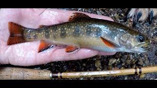 FARMINGTON RIVER VLOG 72 - *** FLY FISHING FOR BROOKIES ***