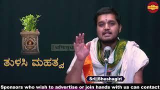 Tulasi Mahatva-Uthana Dwadashi Special discourse by Sri||Sheshagiri|ತುಳಸಿ ಮಹತ್ವ-ಉತ್ಥಾನ ದ್ವಾದಶಿ ವಿಶೇಷ