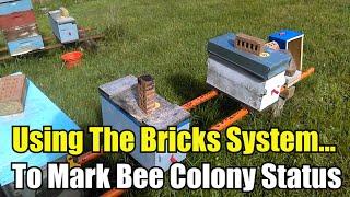 Beekeeping Bricks System... To Mark Bee Colony Status