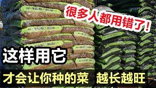 这样使用它, 才会让你种的蔬菜 蓬荜生辉, 可惜很多人都用错了 Mulch for vegetables