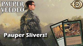 Slivers almost Top8ed Paupergeddon! | Pauper | MTGO